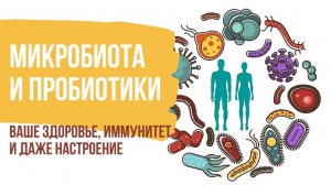 Микробиота кишечника человека. Как микробиота влияет на здоровье и иммунитет. Пробиотики