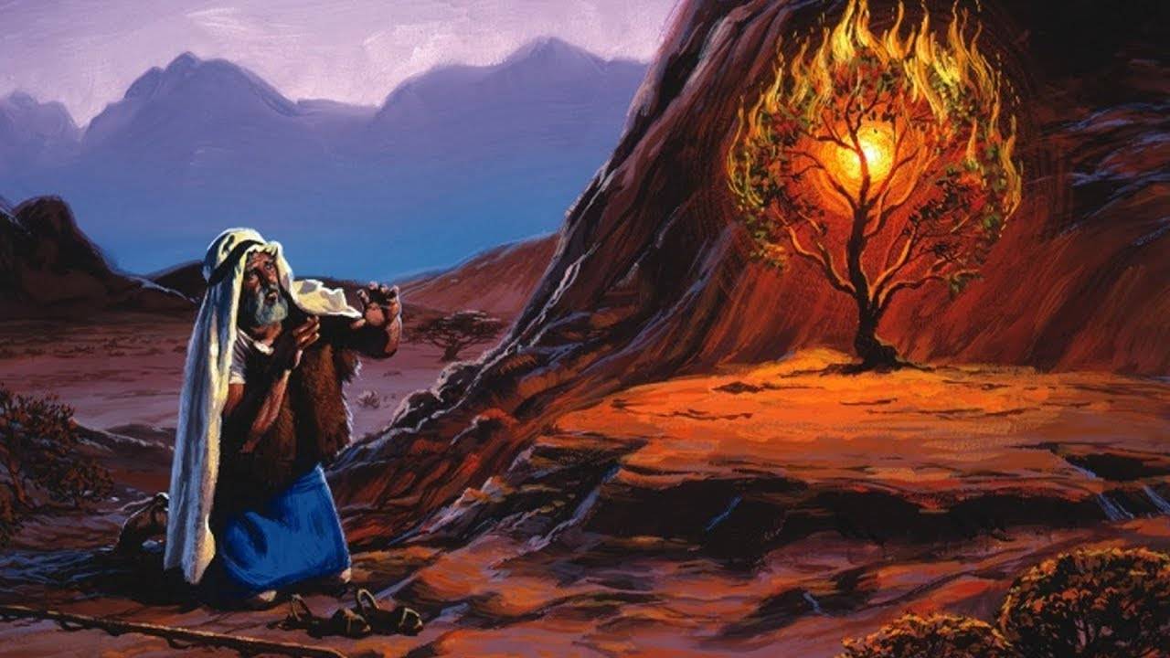 Аллах вошел в свое творение, "голень Аллаха" смотреть онлайн