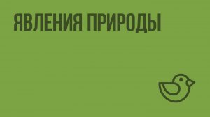 Явления природы. Видеоурок по окружающему миру 2  класс