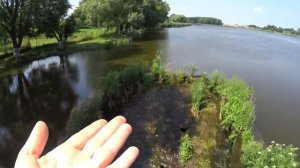 ВЛОГ: МЫ ЖДАЛИ ЕЁ 2 ГОДА И ОНА ПРИЕХАЛА ремонт дома