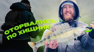 ОТОРВАЛИСЬ ПО ХИЩНИКУ. Сколько хищника в этой реке?