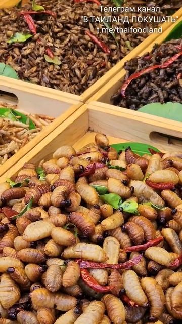 Таиланд. Я люблю жареных личинок, кузнечиков и тараканов. смотреть онлайн