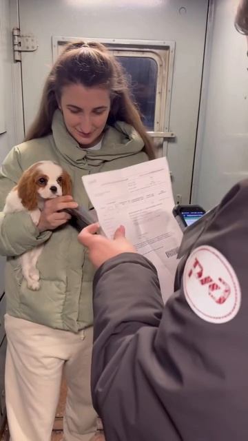 Доставка животных без сопровождения по всей России официально РЖД доставка животных 🐾🐶