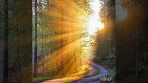 Прелюдия Бах