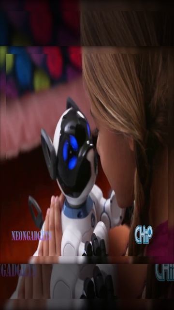 CHiP__Robot_Dog #gadgets #short #viral #techgadgets #food смотреть онлайн