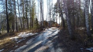 Весенняя прогулка часть 3