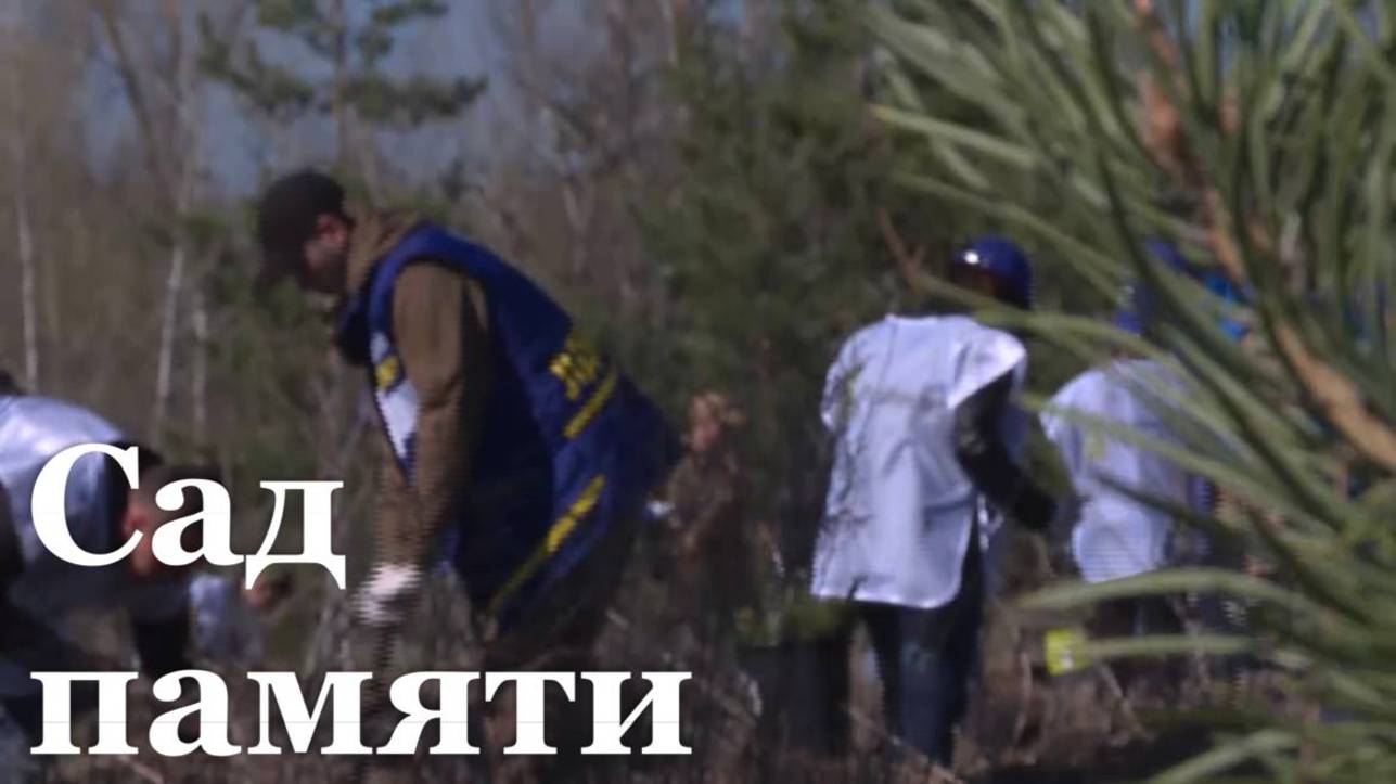 В Старобельске стартовал «Сад памяти»