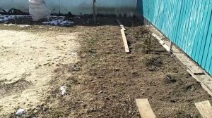 Одна на хозяйстве