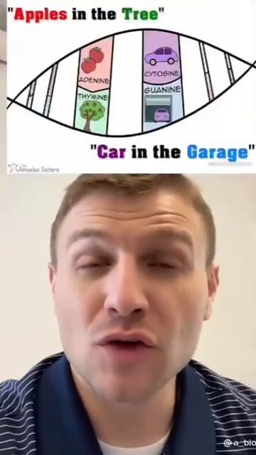 DNA#biology #biology #biology #important #important #biology #biology #biology смотреть онлайн