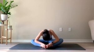 Gentle Seated Yoga For Beginners & All Levels _ 30 Minute Practice