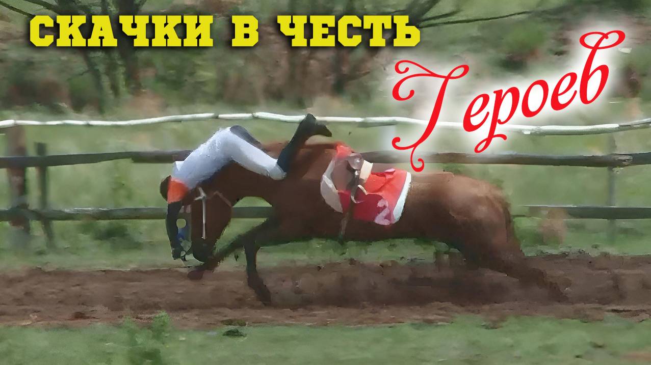 Конный Слёт 24 / Скачки в честь героев СВО