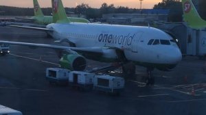 Выгрузка багажа из самолета в аэропорту