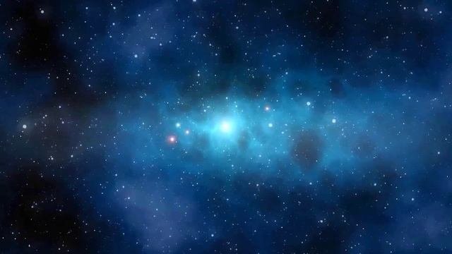занимательные видио