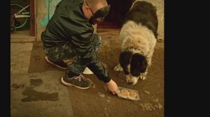 По Тропам Бреду (Wandering the Paths)