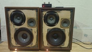 Колонки Эстония аса ii