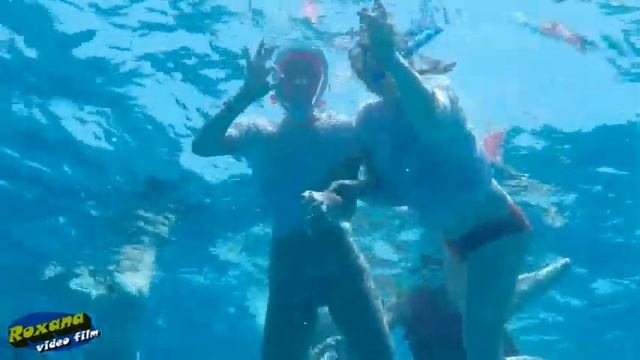 Egypt Sataya Dolphins смотреть онлайн