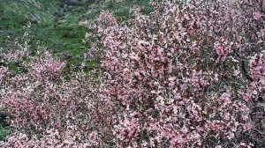 Большая Тура 2