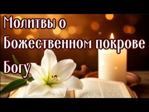 ПРИ ЛЮБЫХ ТРУДНОСТЯХ О БОЖЕСТВЕННОМ ПОКРОВЕ. Чтобы все разрешилось и все получилось