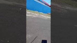 р
