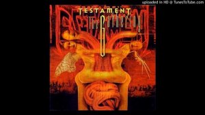 Testament - D.N.R. (Do Not Resuscitate) [Slowed 25% to 33 1/3 RPM]