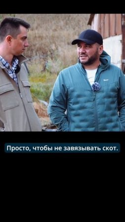 Привязывать скот не правильно!