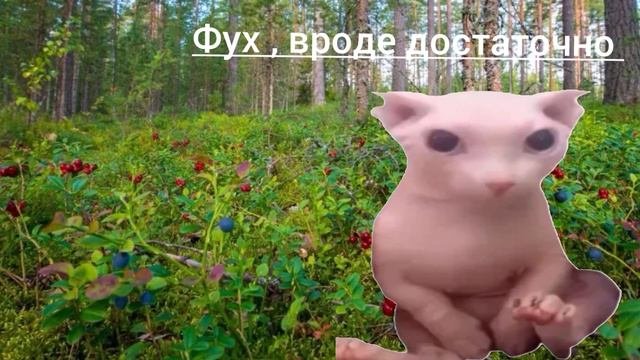 Страшная история с Бингусом #Meme #мемы