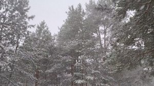 Почему стоит ехать в Москву на заработки