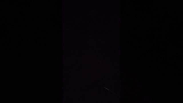 С бодрым утром из деревни🏡 Волкодав Ева🐈 кошечка Лапа, куры🐔 гуси🪿 приветствуют вас 🫶