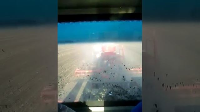 Посев рапса