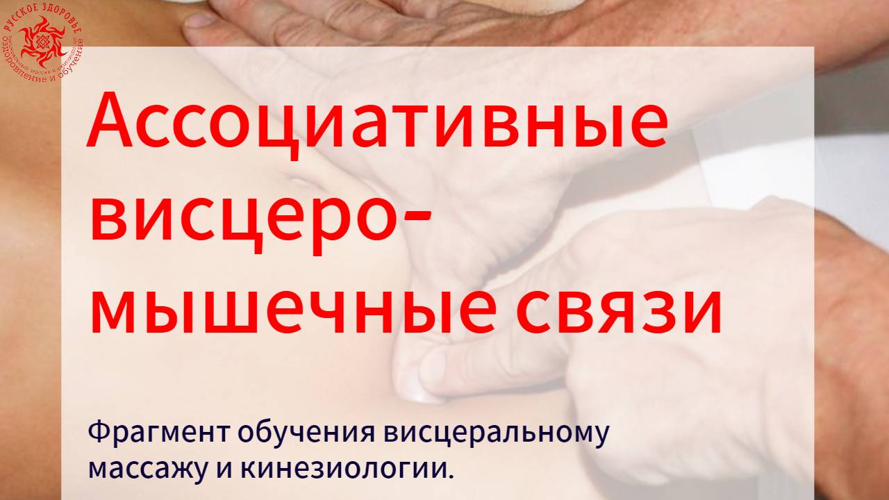 Ассоциативные висцеро-мышечные связи. Фрагмент обучения висцеральному массажу и кинезиологии.