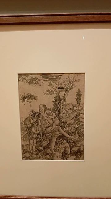 Поклонение волхвов. Аллергия Матери Земли. Аллергия любви. Робетта. Около 1530.