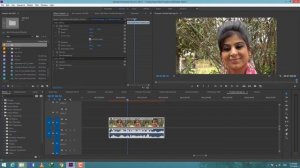 ProDAD Adorage Effects Vol 13 In Premiere cc 2020  Urdu Hindi Youtube