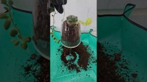 Оригинальный подарок из старой посуды своими руками