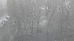 07.04.25 г. Какая изменчивая весна.