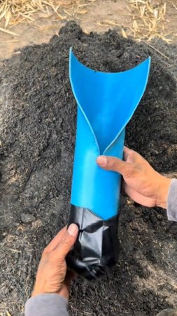 Интересный лайфхак для садоводов👍 #shorts #garden #советы