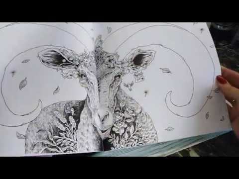 Хобби-VLOG: подарки/новые раскраски/лабиринт
