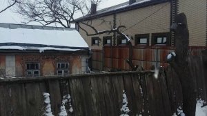 20250210 дом1миллион доларов