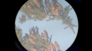 Делаем параболическое главное зеркало телескопа: Фигуризация в параболу | Часть 4 | 215 / 1280