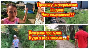 БОРЬБА С СОРНЯКАМИ/ЭКСПЕРИМЕНТ/КРАСИВЫЙ ГАЗОН НА ДАЧЕ/НАША ВЕЧЕРНЯЯ ПРОГУЛКА