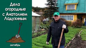 Дела огородные с Анатолием Ладухиным. Заботимся об АГРОфизике почвы.