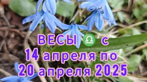 ВЕСЫ ♎ Расклад Таро с 14 по 20 апреля 2025