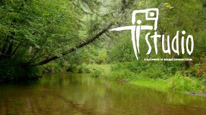 River Siberia Relax_Музыка/релакс/кафе