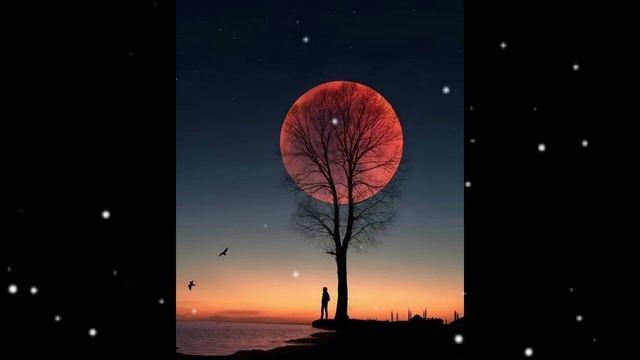 3 сынып 55 сабақ Аққұс туралы аңыз. 3 сынып әдебиеттік оқу 55 сабақ смотреть онлайн