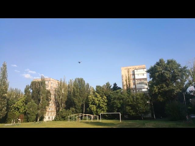 Миша рулит смотреть онлайн