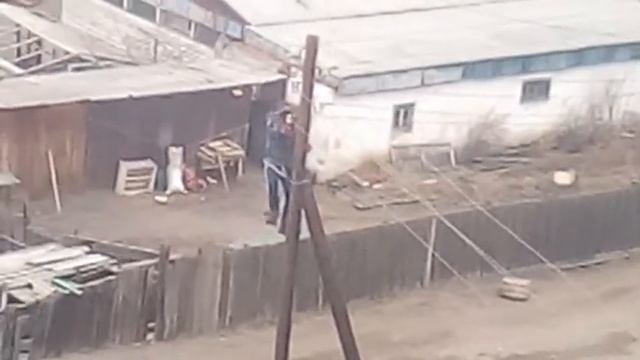 Спасение кошки. 24.03.20 смотреть онлайн