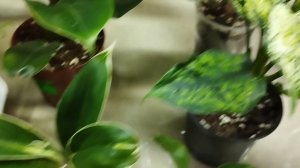 Выставка 5-6 Апреля