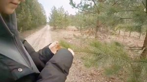 Царская тропа. Лебяжье - Аракчино. г.Казань