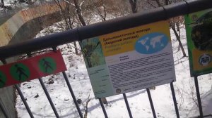 Дальневосточный Сафари Парк. Март 2025 года Владивосток. Хищники.