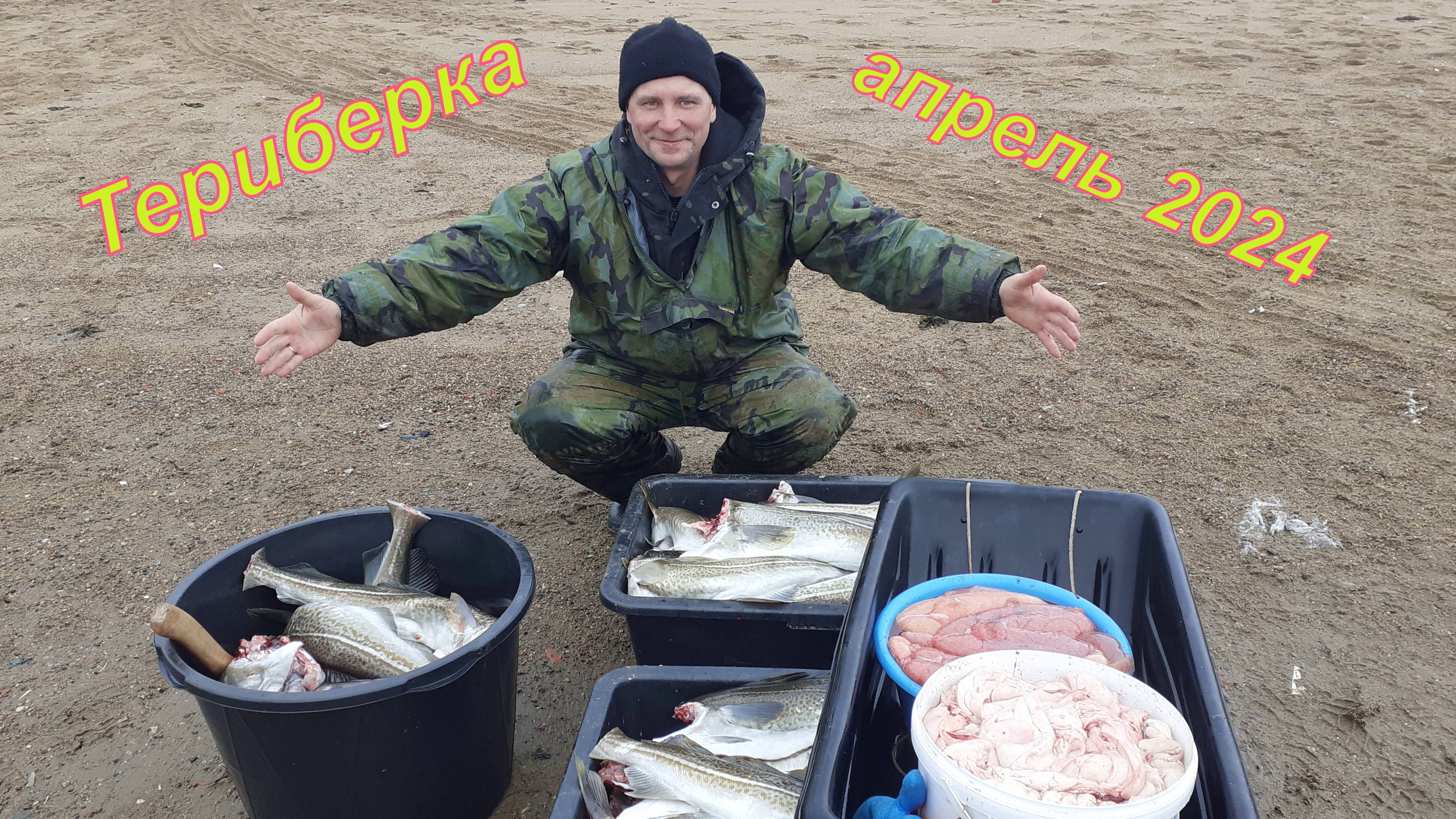 ТРЕСКА/ТЕРИБЕРКА/БАРЕНЦЕВО МОРЕ
