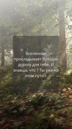 ВСЕЛЕННАЯ ЗАБОТИТЬСЯ О ТЕБЕ🦋 ©DegDi🔥